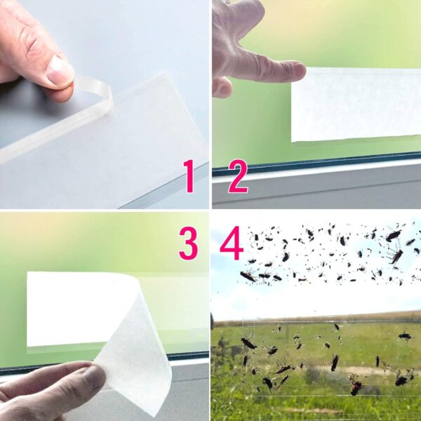 Piège Adhésif pour insectes au fenêtres (10pcs) – Image 7