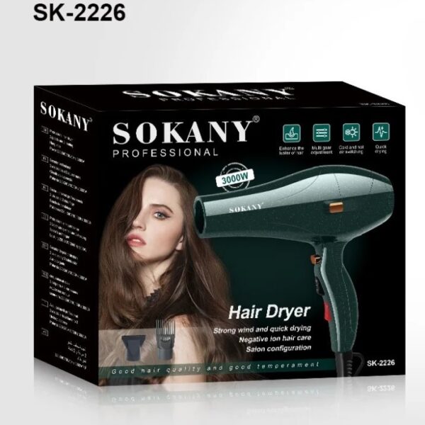 Sèche Cheveux Super Turbo Professionnel 3000W