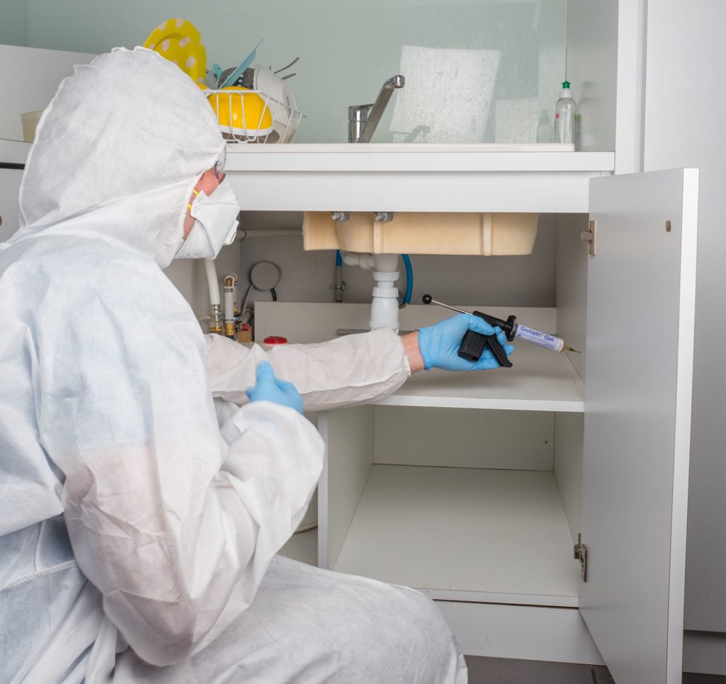 جل قاتل الصراصير CAFARD 50MG - تركيبة قوية وفعّالة للقضاء على الصراصير نهائياً – Image 2